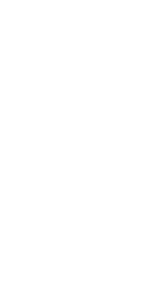 digitalshark.nl logo -2